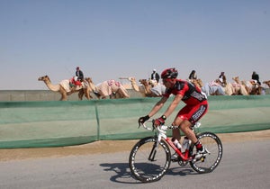 Click for larger image