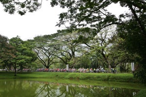 2011 Tour de Langkawi, stage 3 2011 Tour de Langkawi, stage 3