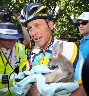 2009 Tour Down Under. Lance Armstrong with baby kangaroo 2009 Tour Down Under. Lance Armstrong with baby kangaroo