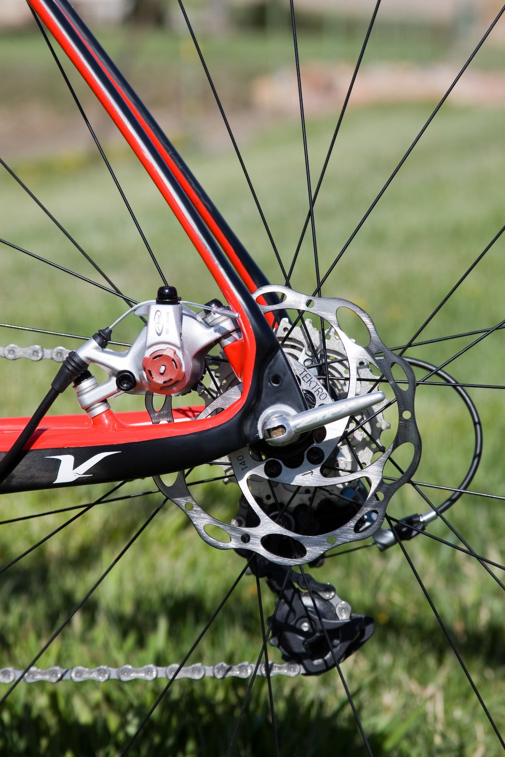 Volagi Liscio. Photo: Brad Kaminski