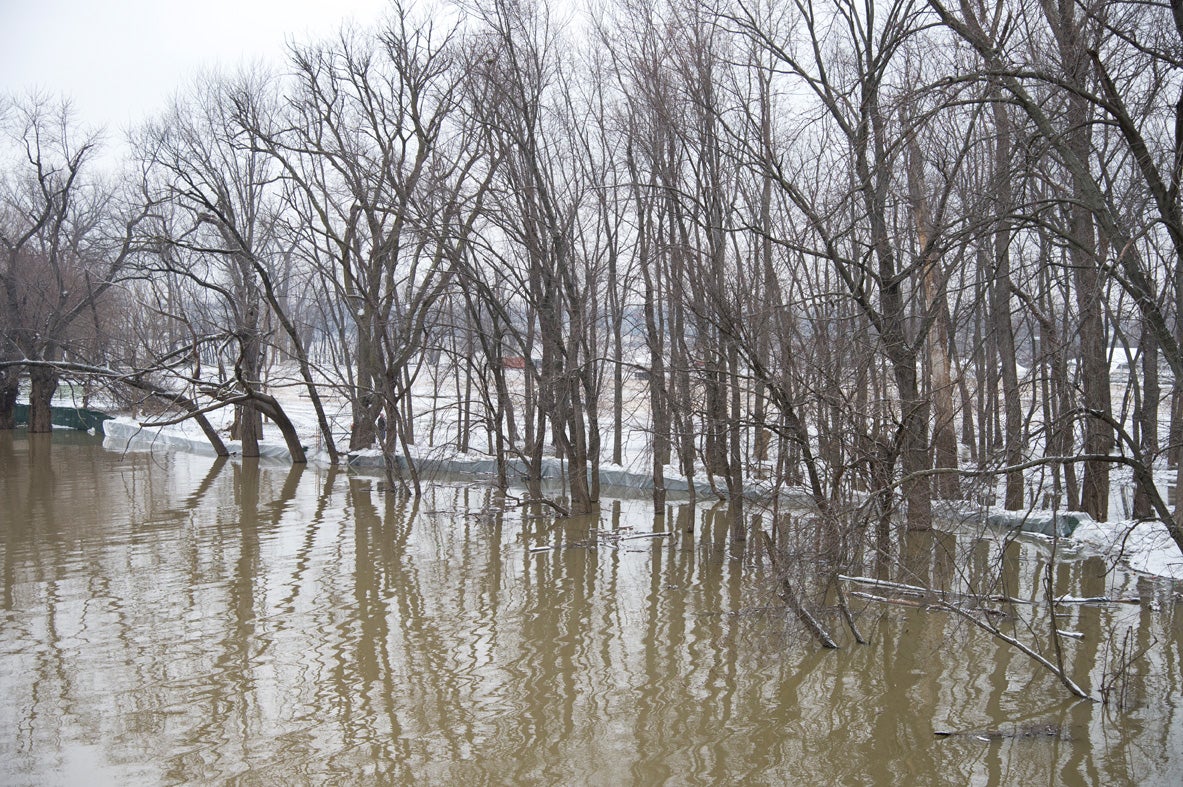 The full extent of the dike, over 100 meters and 5 feet high. Photo: Casey B. Gibson | <a href="http://www.cbgphoto.com">www.cbgphoto.com</a>