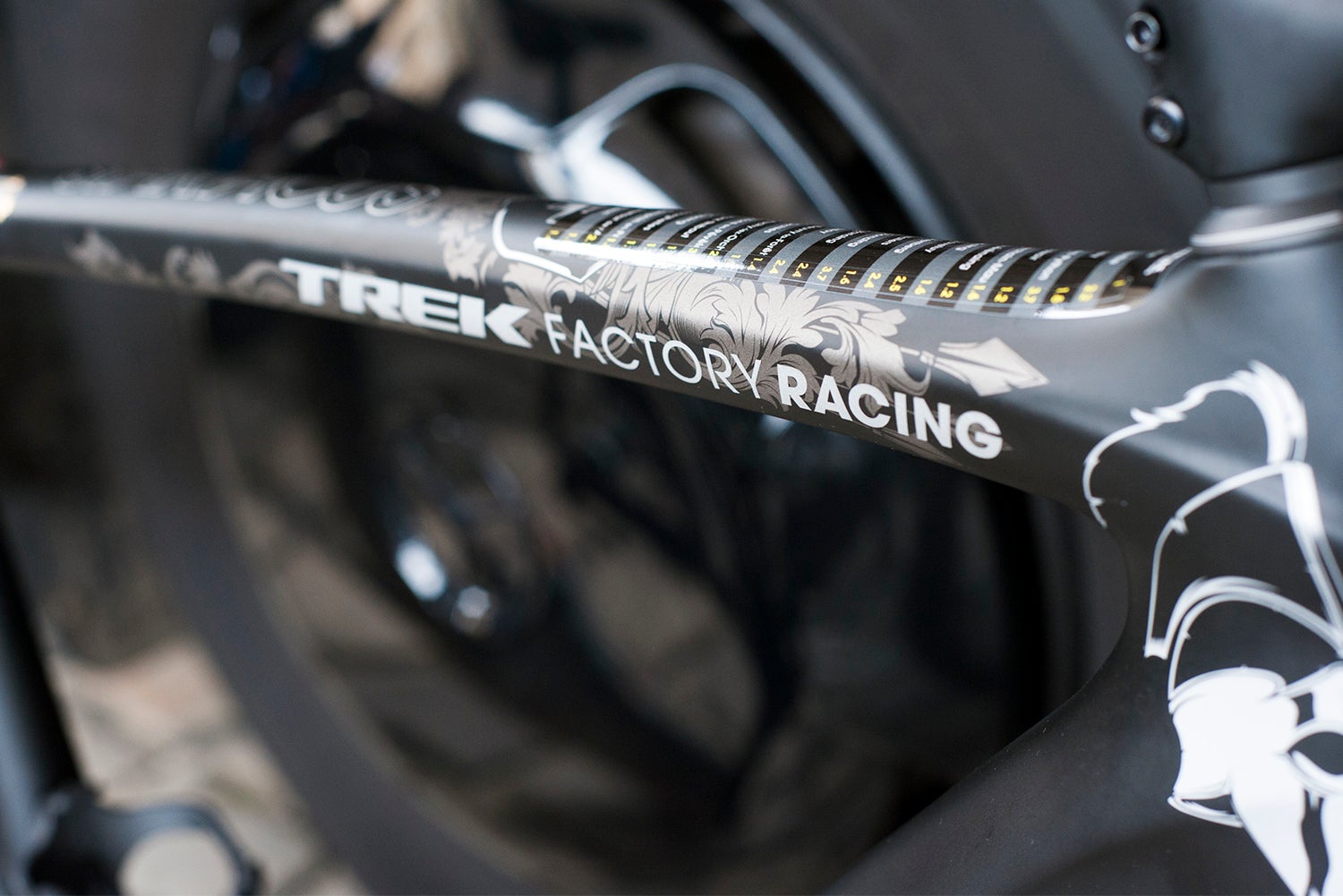 A special paint job for Fabian's Roubaix ride. Photo: Caley Fretz | VeloNews.com