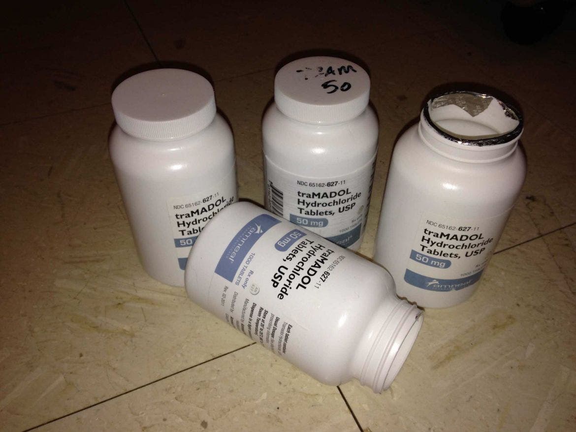 Image courtesy Ian Mullins