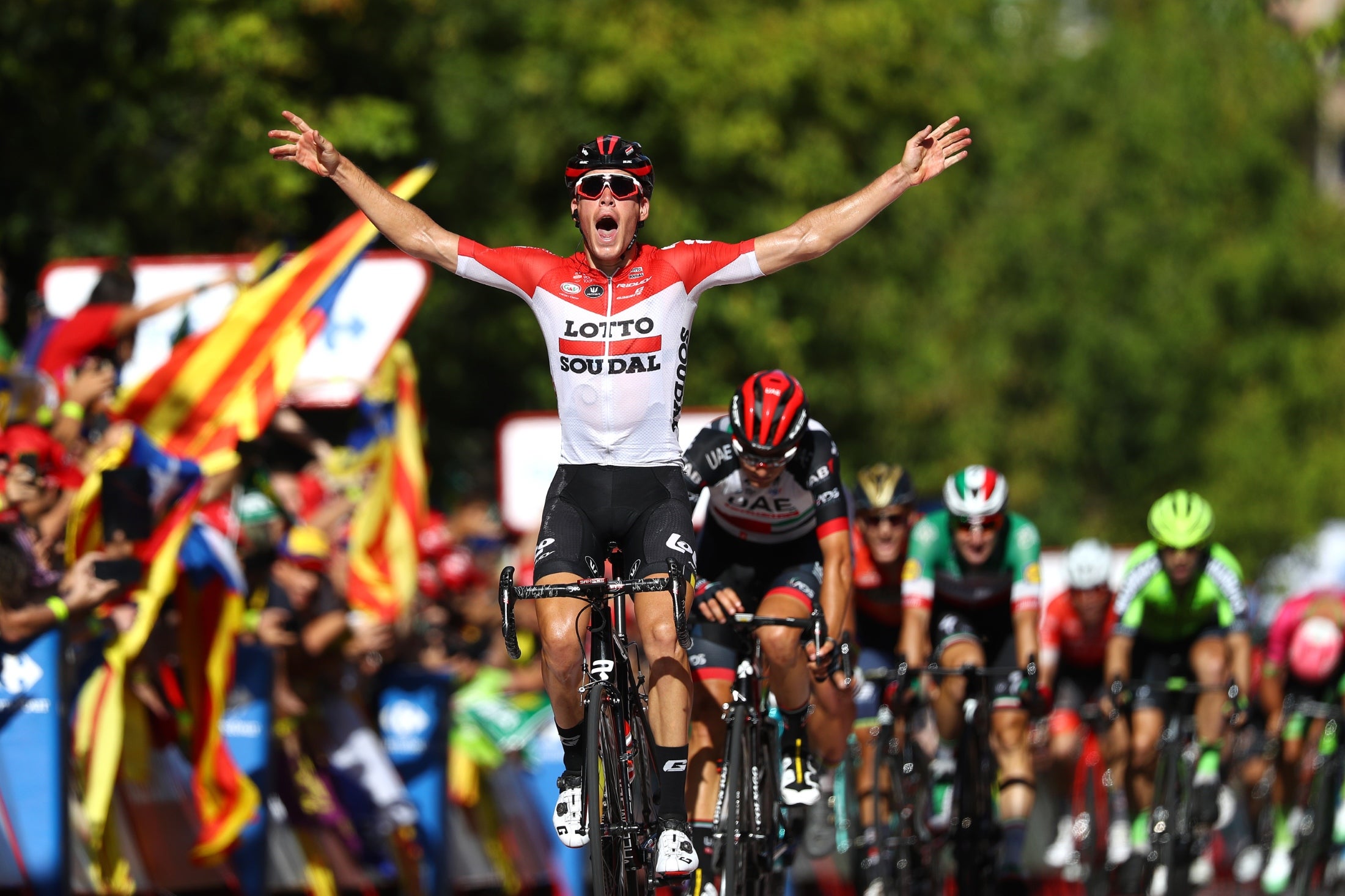 LLEIDA, SPAIN - SEPTEMBER 13: Arrival / Jelle Wallays of Belgium and Team Lotto Soudal / Celebration / Sven Erik Bustrom of Norway and UAE Team Emirates / Peter Sagan of Slovakia and Team Bora - Hansgrohe / Elia Viviani of Italy and Team Quick-Step Floors / during the 73rd Tour of Spain 2018, Stage18 a 186,1km stage from Ejea de los Caballeros to Lleida / La Vuelta / on September 13, 2018 in Lleida, Spain. (Photo by Michael Steele/Getty Images)
