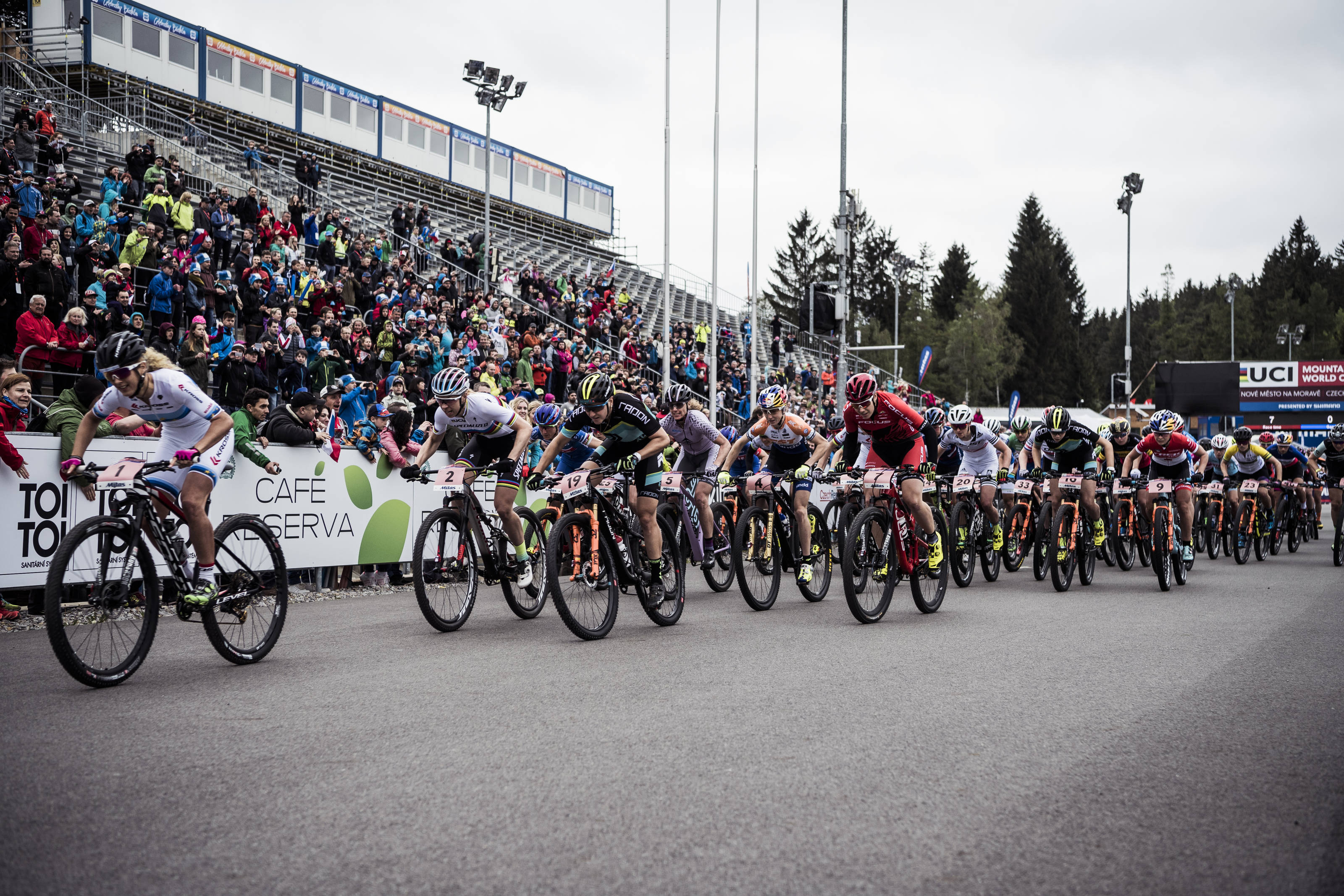 Mountain bike World Cup
