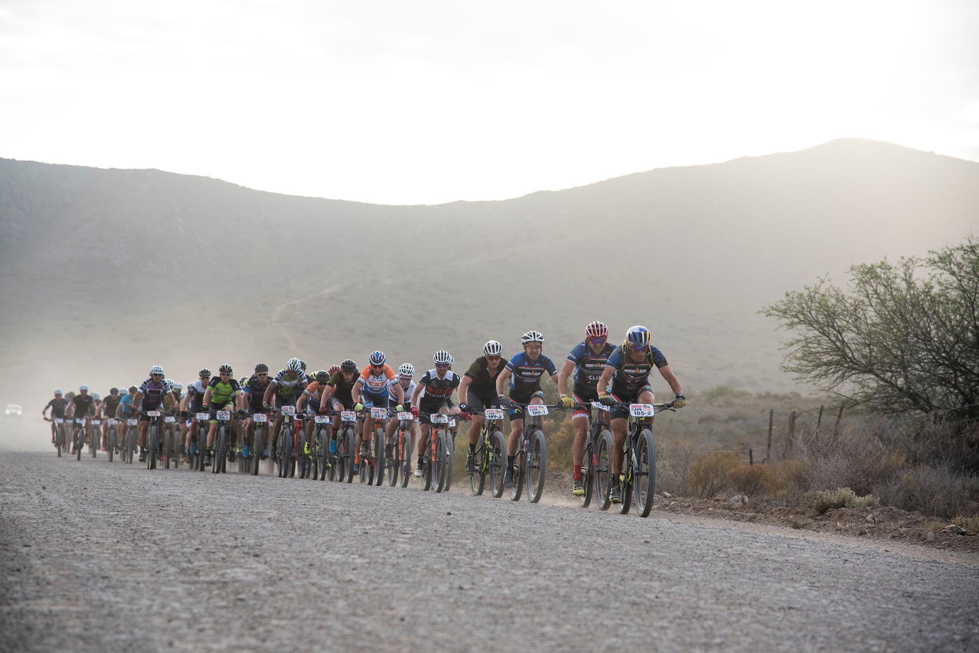 Cape Epic