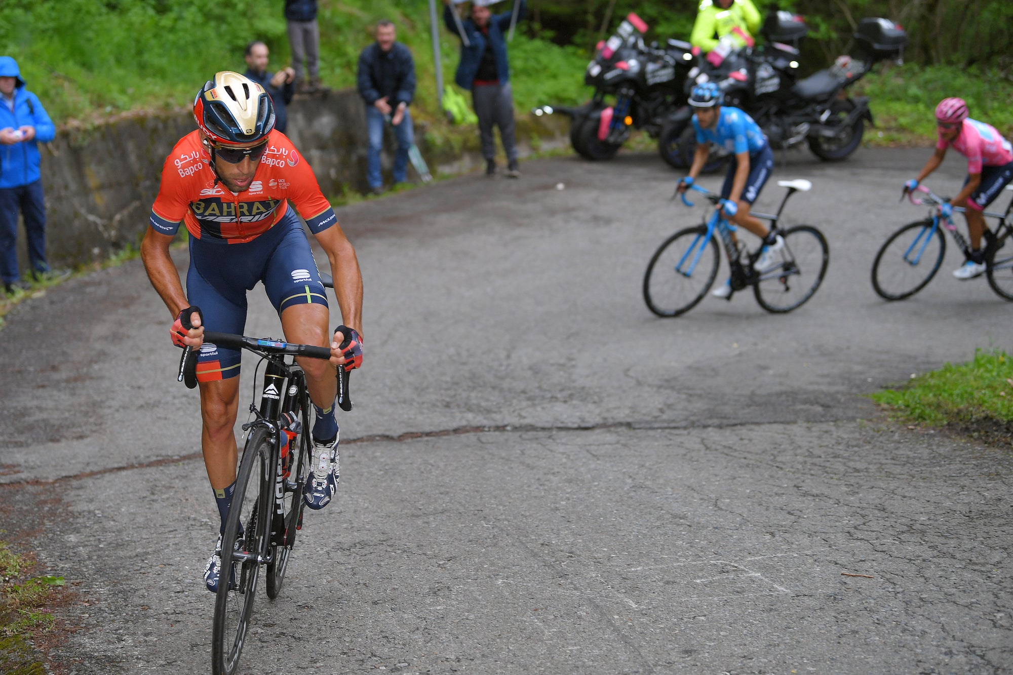 Photo by Tim de Waele/Getty Images