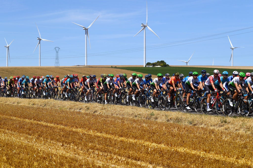 Photo: Justin Setterfield/Getty Images