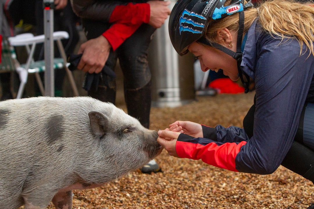 Amity Rockwell and Pig