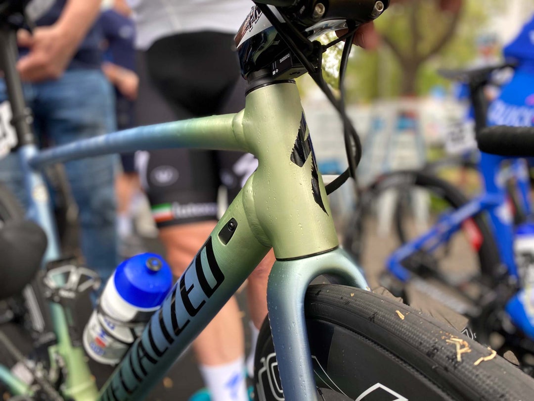 Specialized Allez Budgie