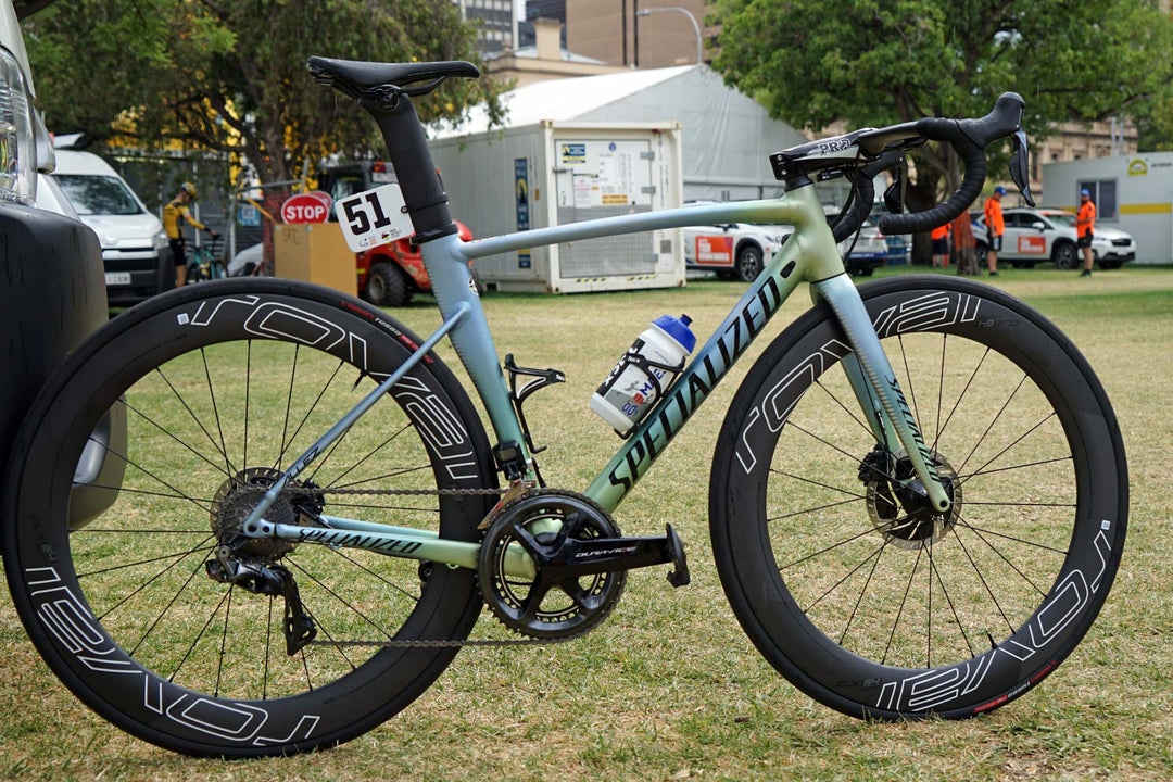 Specialized Allez Budgie