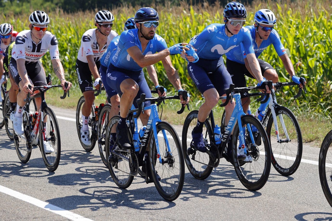 Cataldo and Jorgenson before the finale of Milano-Sanremo. Photo: Movistar / BettiniPhoto