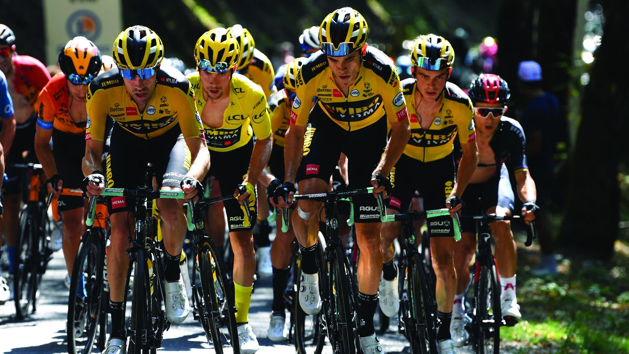 Team Jumbo-Visma racing