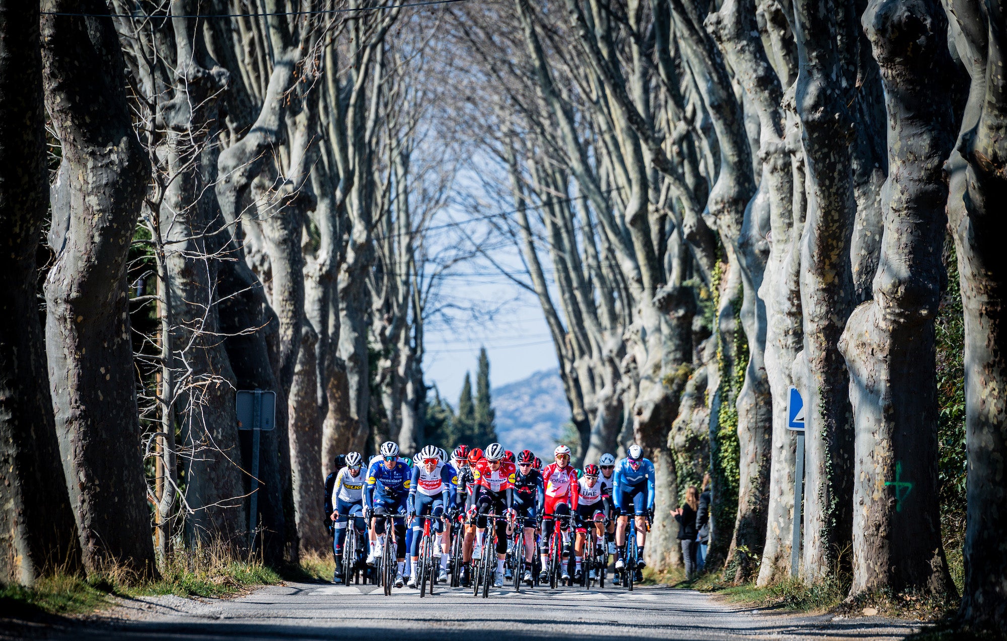 Peloton provence