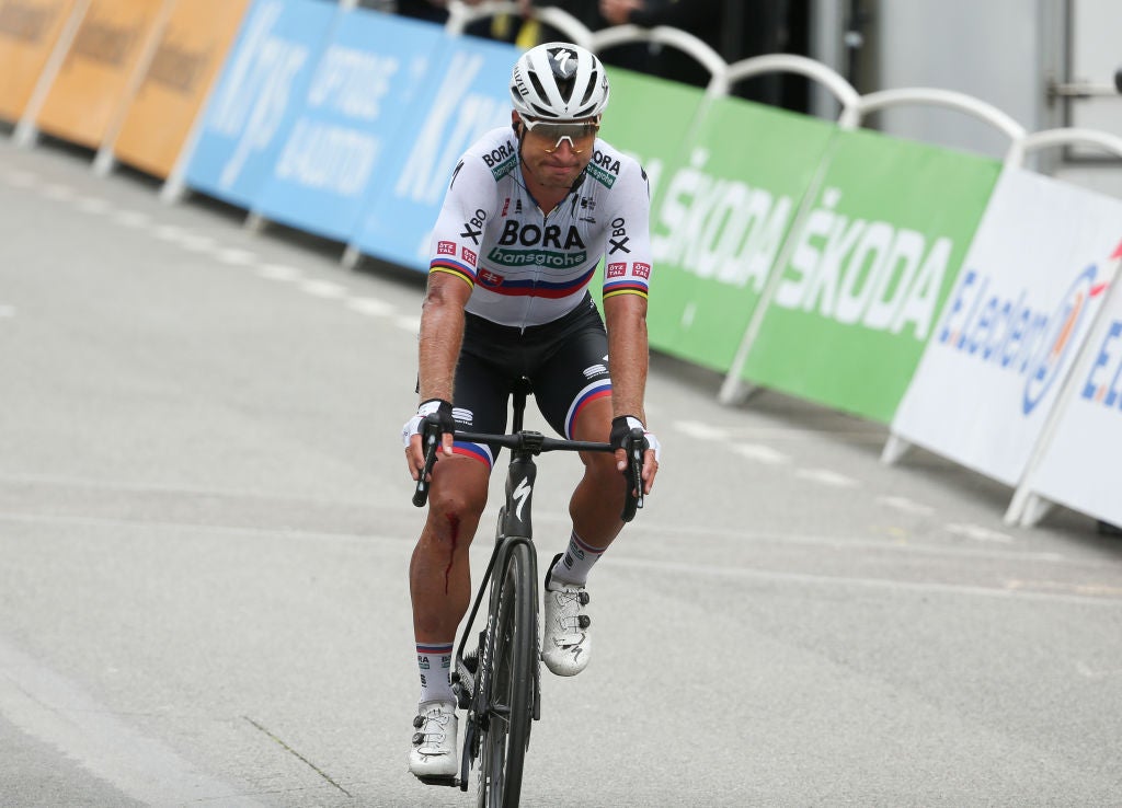 Peter Sagan abandoned the Tour de France ahead of stage 12