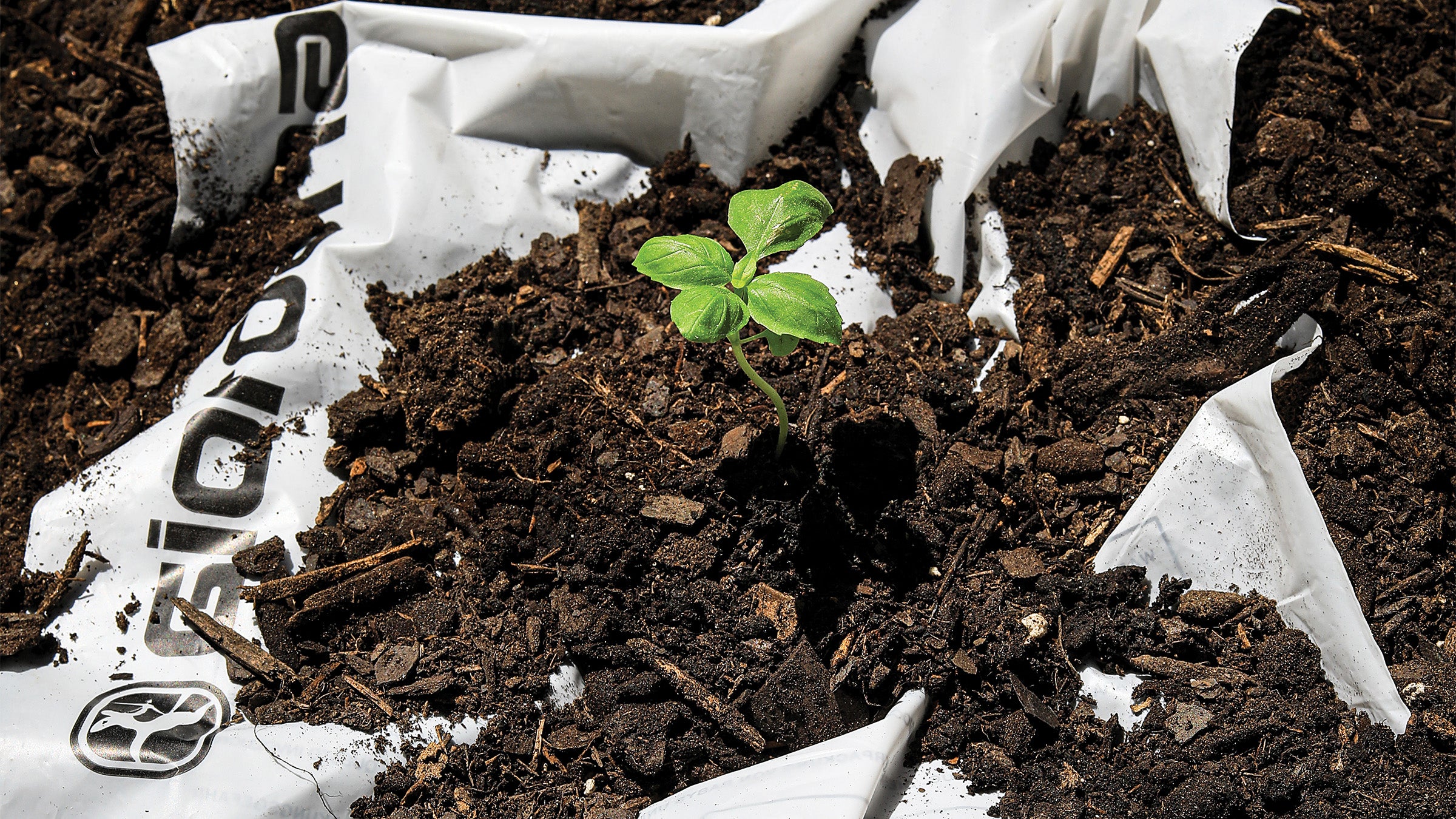 Sprout emerging from dirt and a compostable Giordana bag