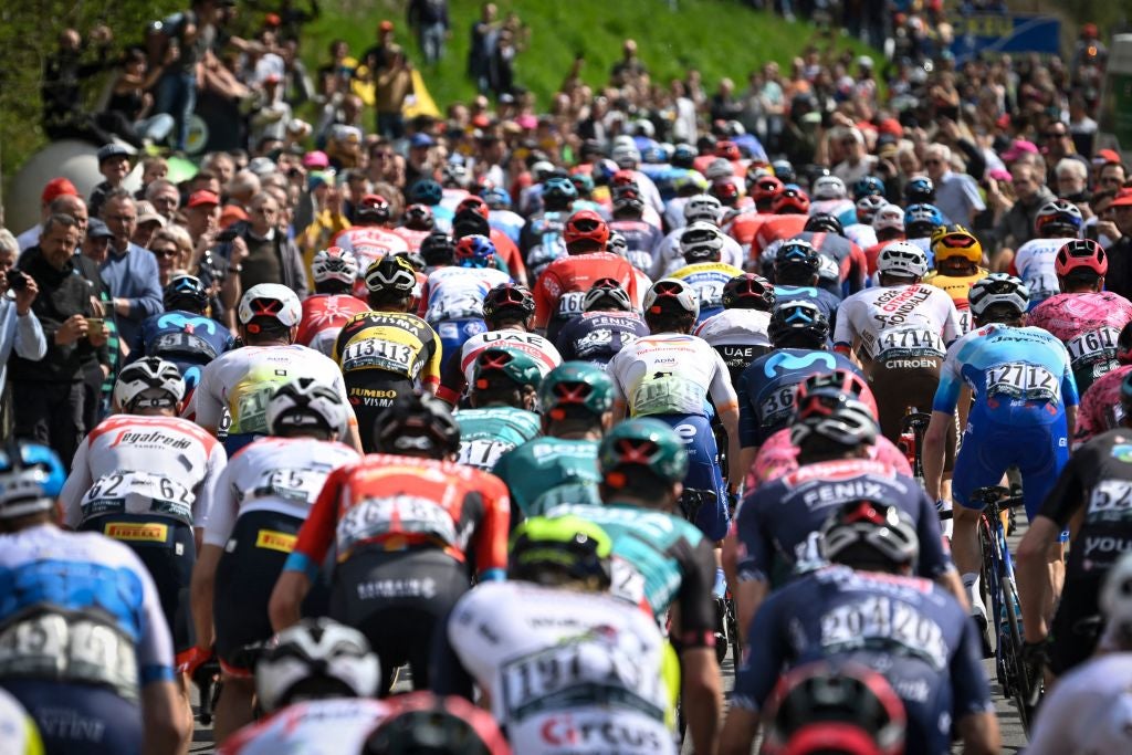 The peloton at Liege-Bastogne-Liege