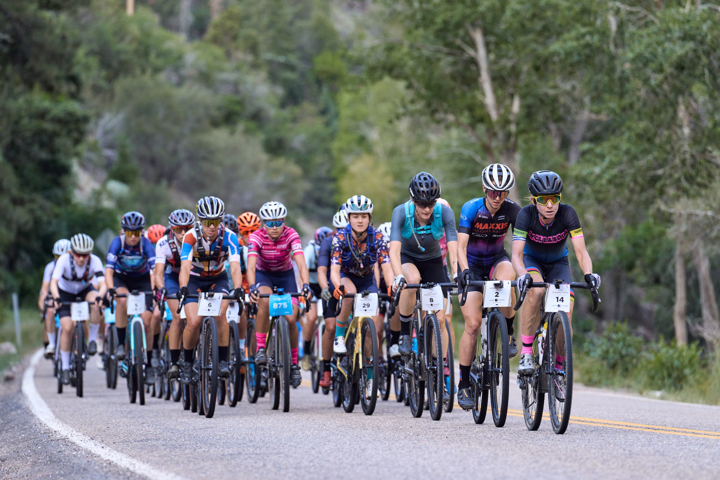 crusher in the tushar