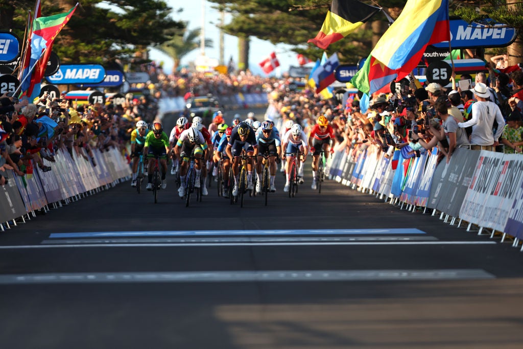 WOLLONGONG, AUSTRALIA - SEPTEMBER 25: (L-R) Michael Matthews of Australia, Matteo Trentin of Italy, Christophe Laporte of France and Wout Van Aert of Belgium sprint at finish line during the 95th UCI Road World Championships 2022, Men Elite Road Race a 266,9km race from Helensburgh to Wollongong / #Wollongong2022 / on September 25, 2022 in Wollongong, Australia. (Photo by Con Chronis/Getty Images)
