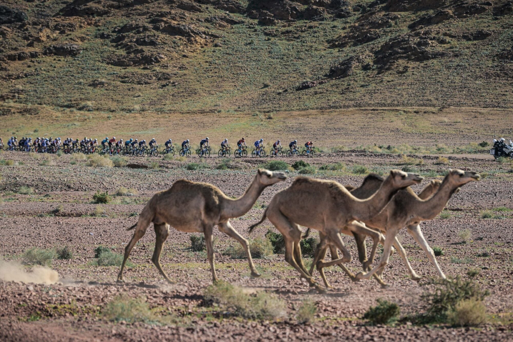 Racing in the Middle East presents its unique challenges.