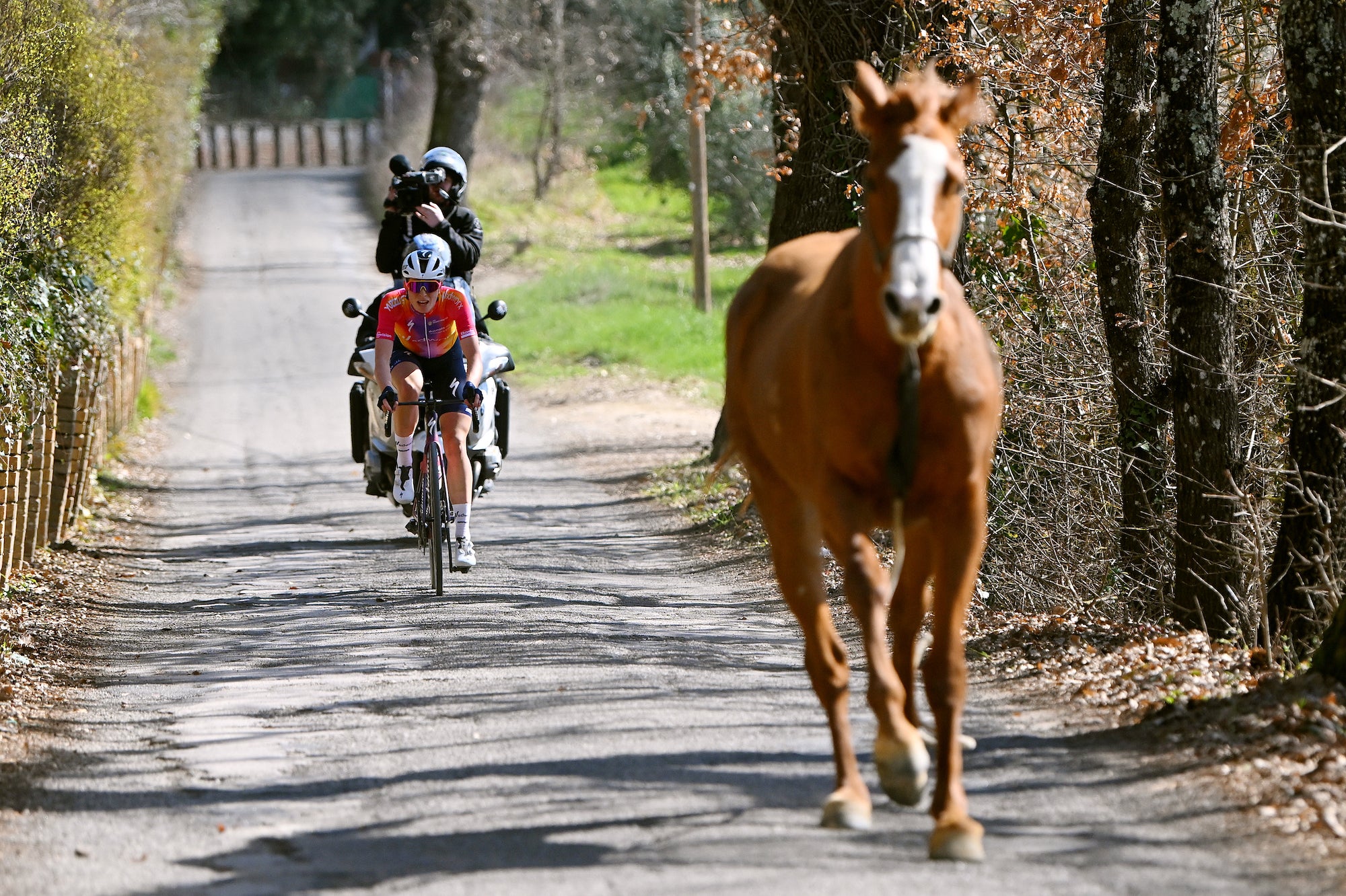 Demi Vollering rides behind a horse that raced along the course in Strade Bianche.