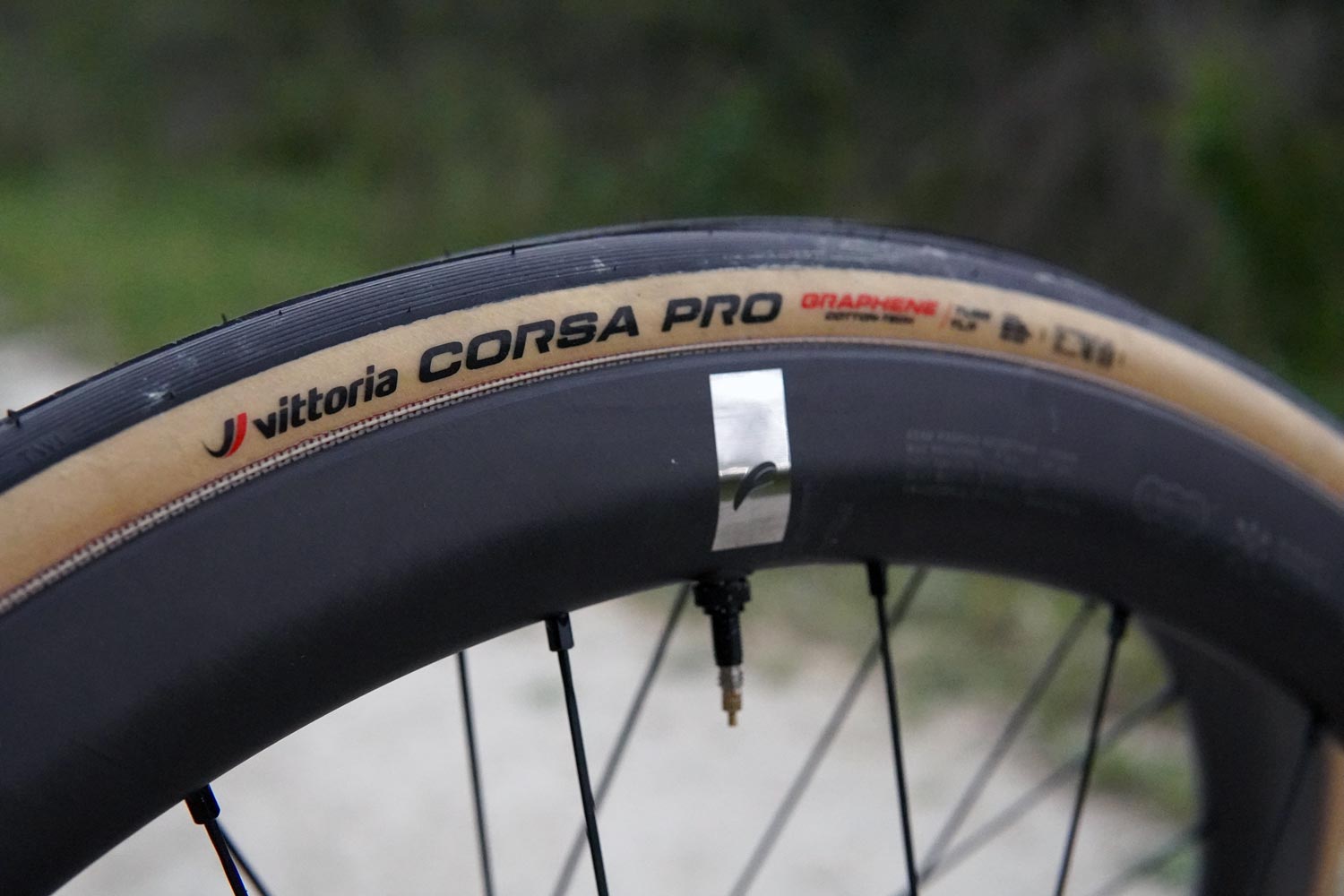 Vittoria Corsa Pro tire review: A classic, modernized