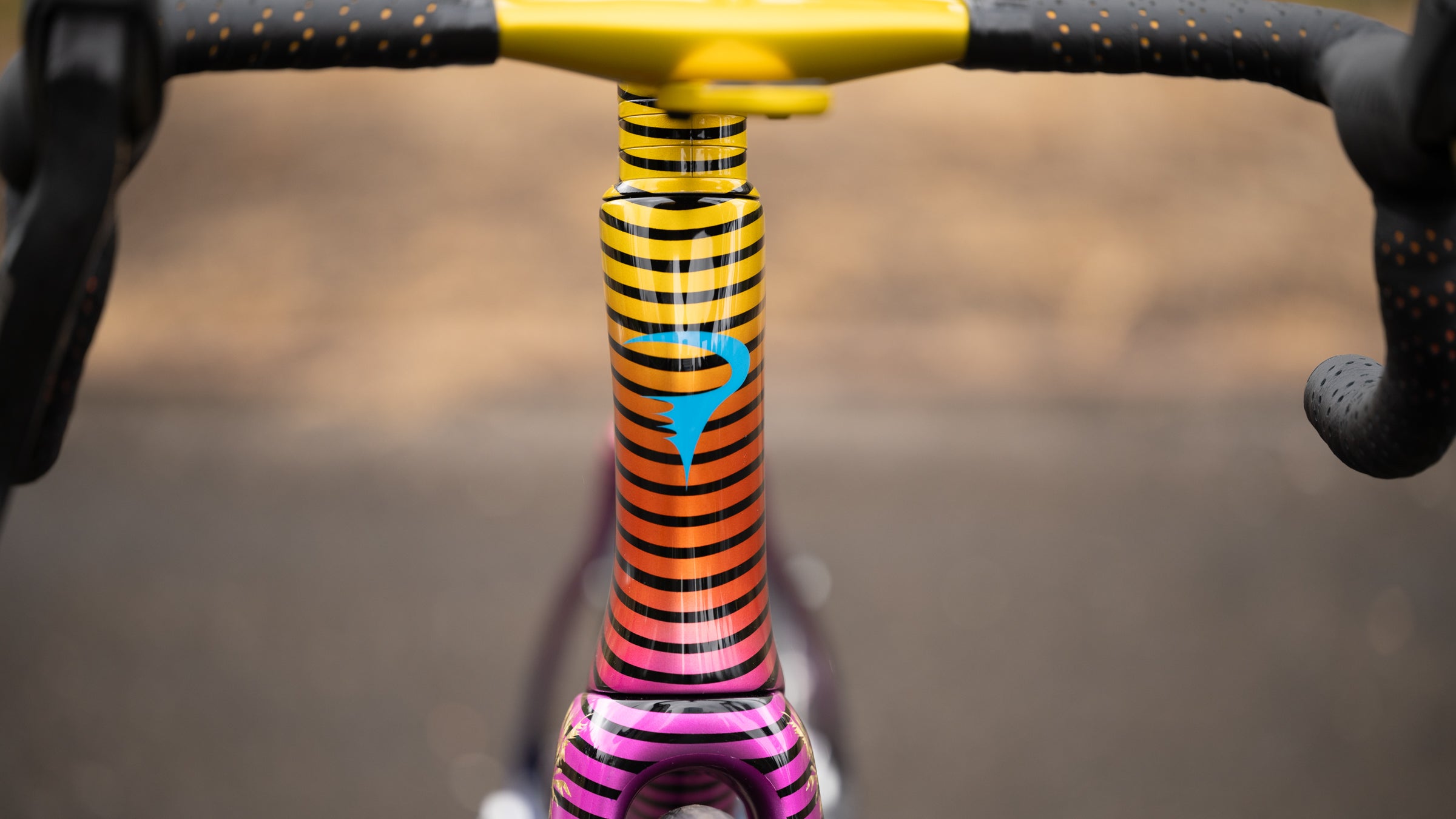 BICYCLEカラーデックby Magic Maker5色 BICYCLEカラーデックby Magic Maker5色 BICYCLEカラーデックby Magic