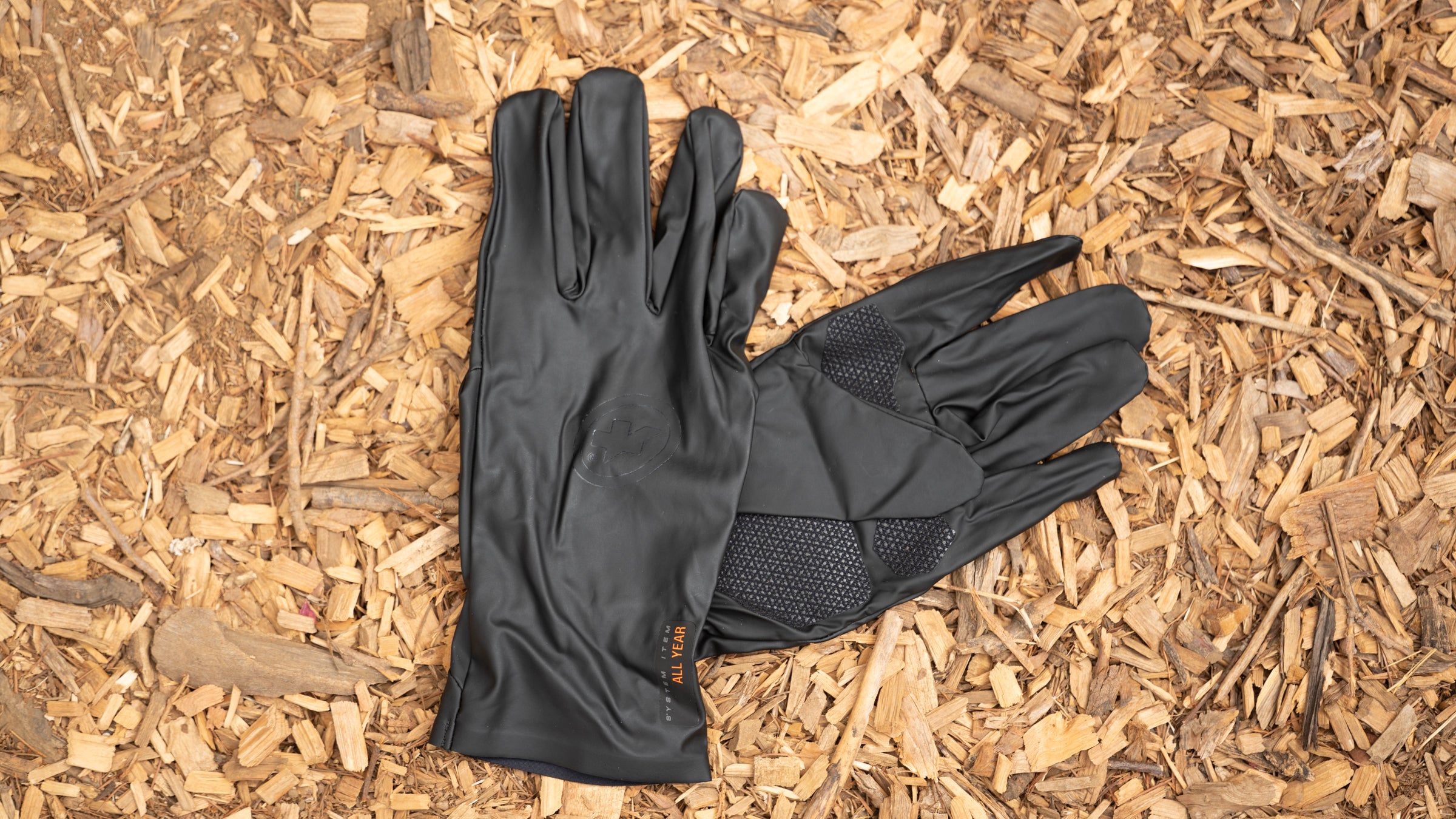 Arc'Teryx Alpha SV: Gloves Reviews