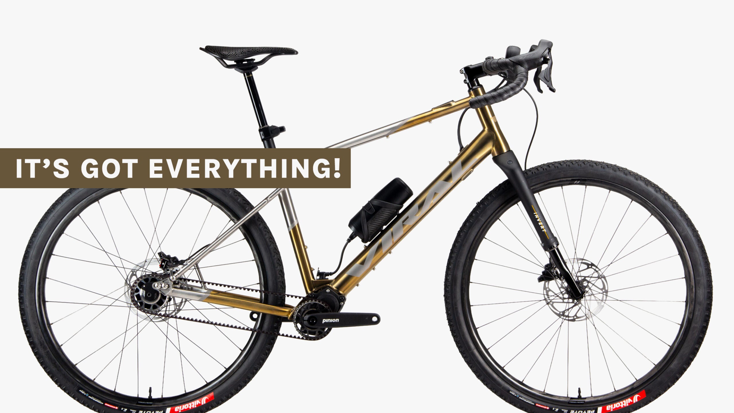 Viral Bikes Wander-ee